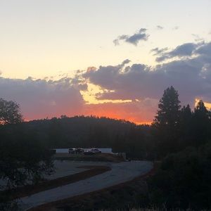 Meet your Posher, Bailey